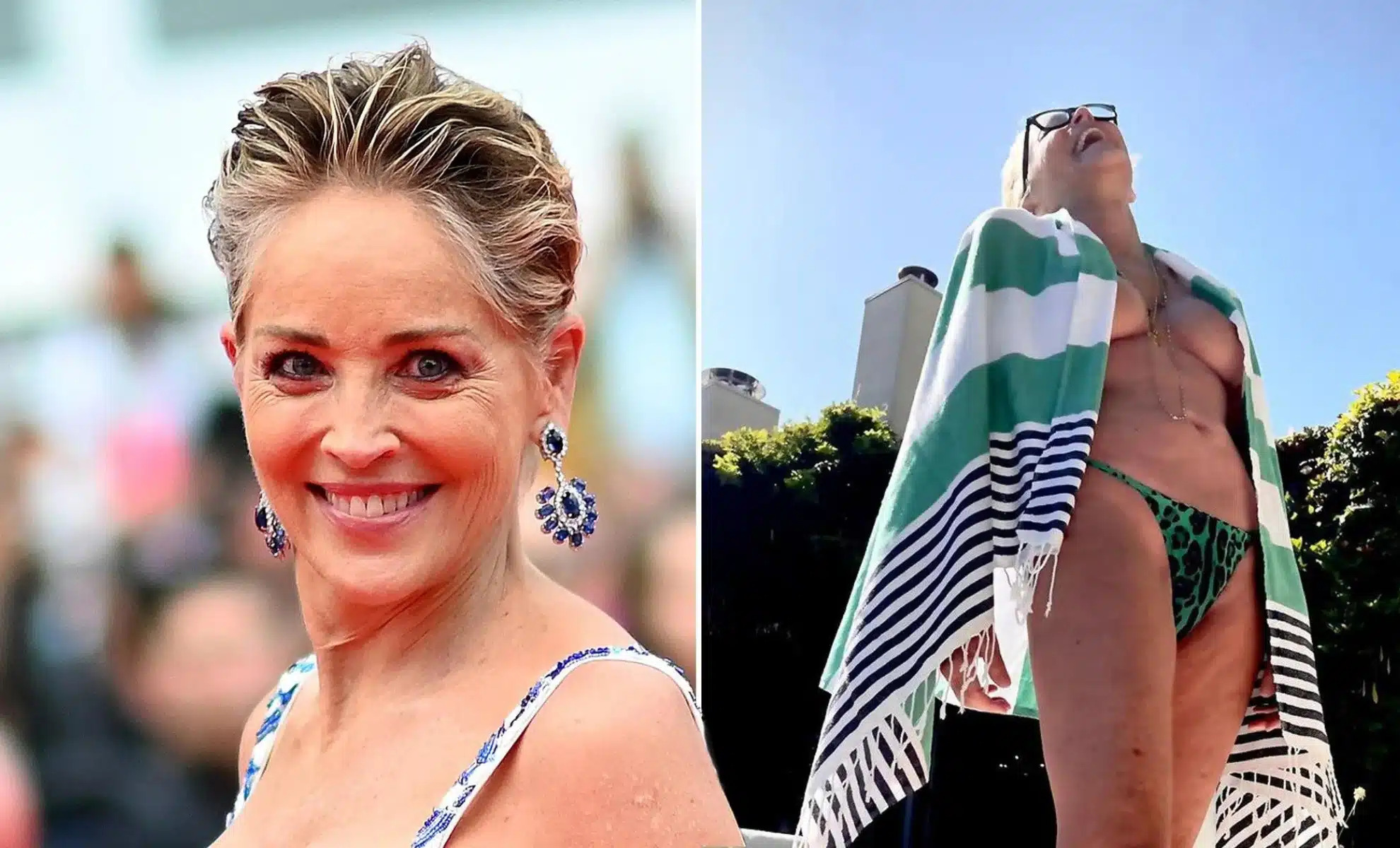 Sharon Stone Éblouissante en bikini à 65 ans un détail intrigue les fans