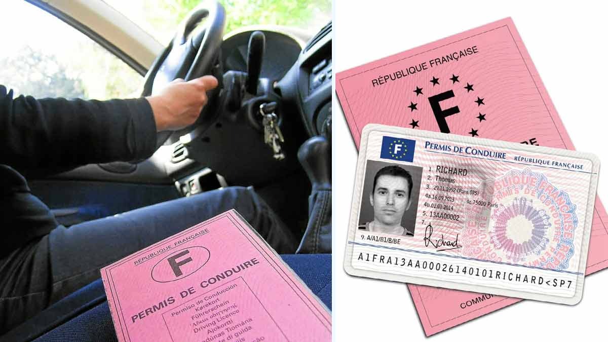 Le Permis De Conduire Rose Ne Sera Plus Valable, Vous Avez Jusqu'à ...